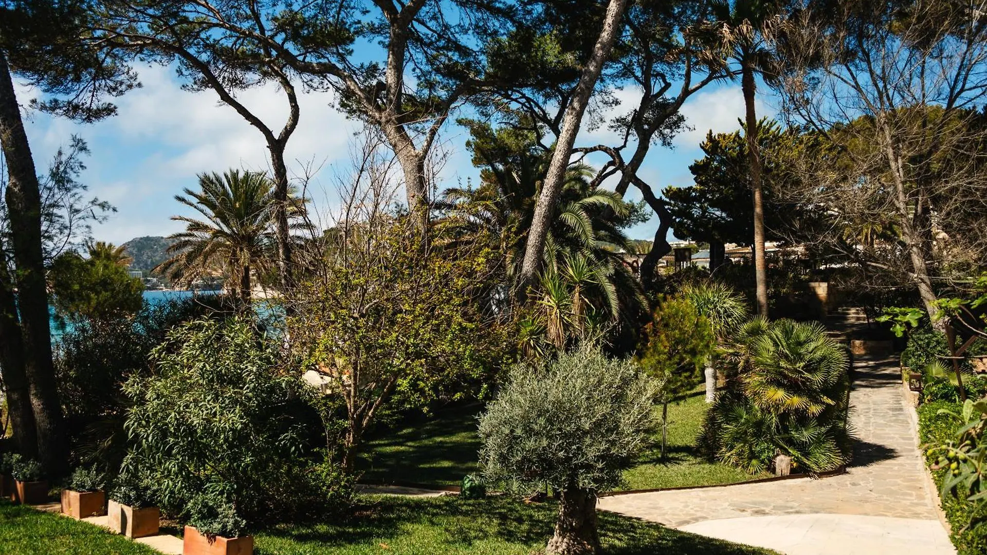 Hotel Secrets Mallorca Villamil Resort & Spa - Adults Only Peguera